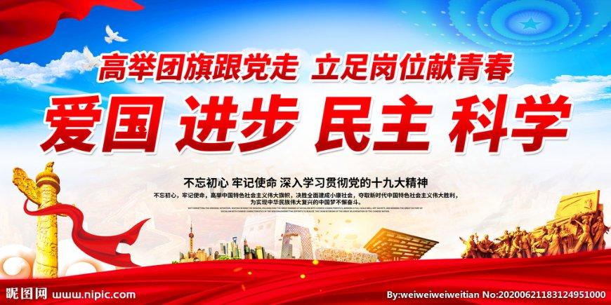小猫在外流浪3年,终于回家与小主人团聚!小主人喜极而泣