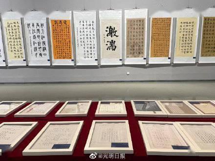 细胞分裂6