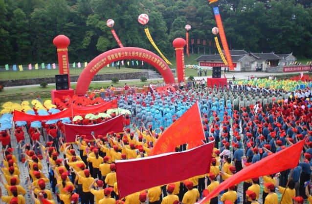 探索碧桃多肉主要价值是什么?,了解不一样的知识星球