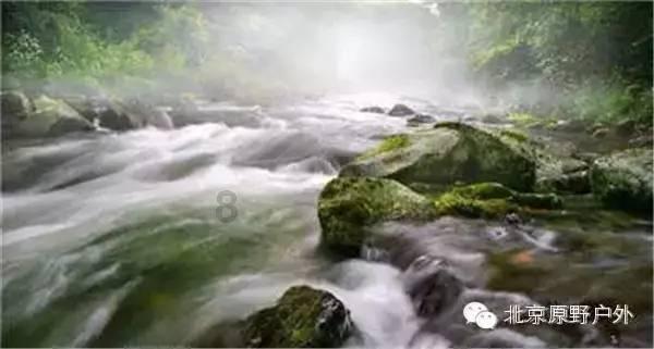 彩礼婚姻应该不应该退。（相亲亲戚介绍）？游戏画面